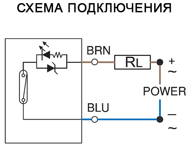 Reed-t.jpg Reed-t.jpg
